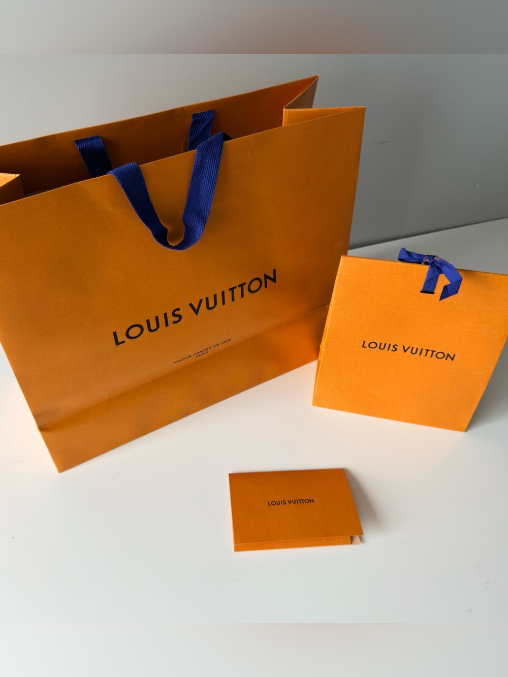 Authentic Louis Vuitton Paper Shopping 2 Bag